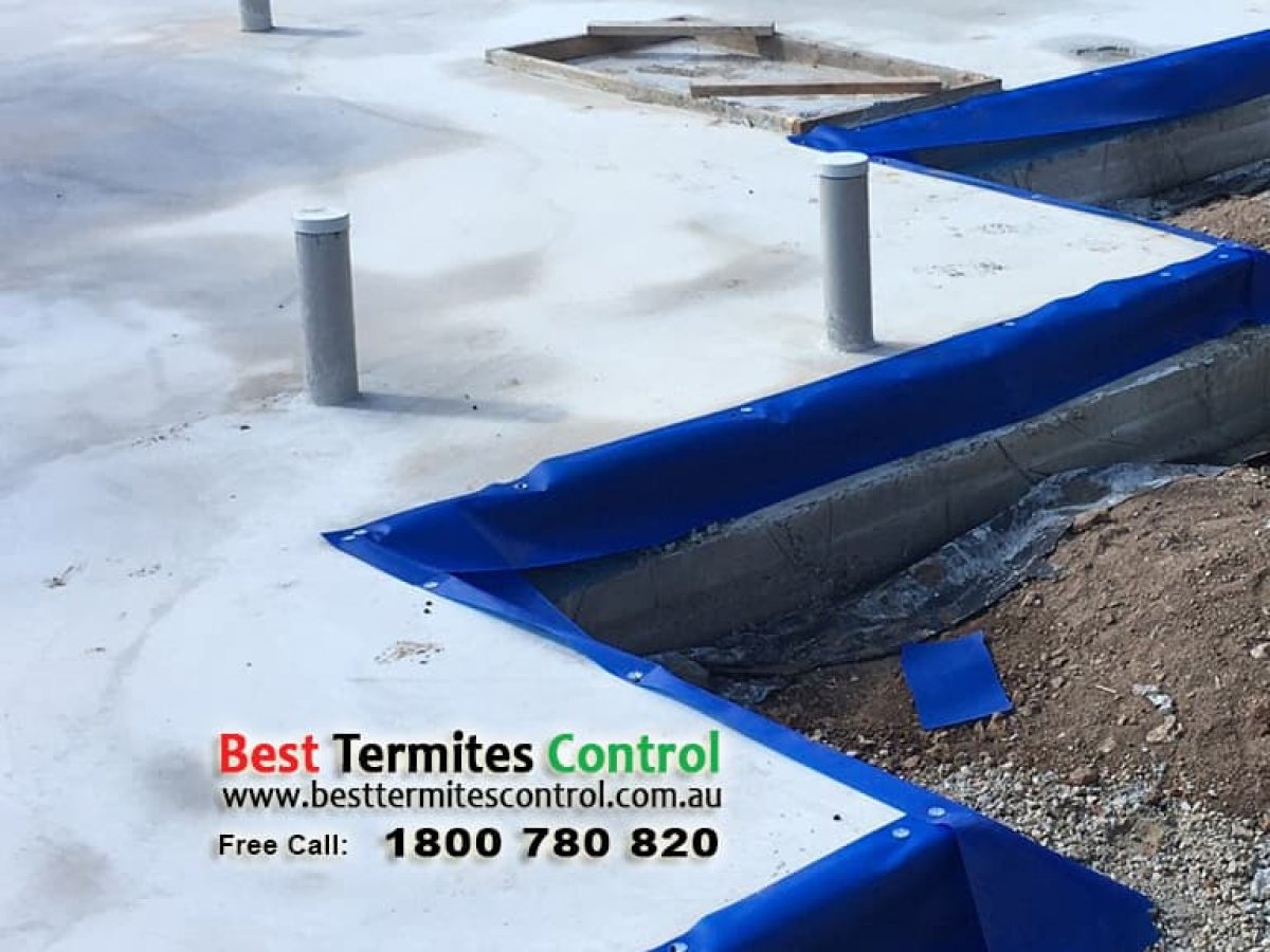 Termiticide Treated Sheeting System to Slab Perimeter in Blackburn South