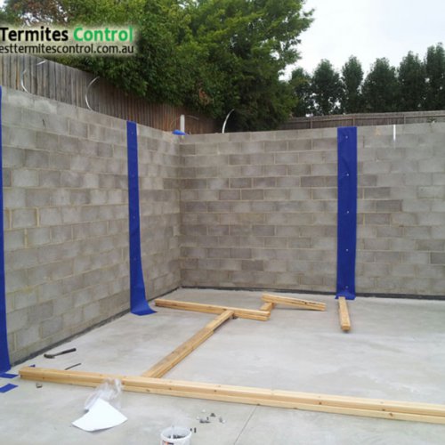 Termites Protection Solution for Walls