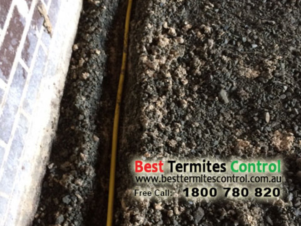 Installed Termites Reticulation system in Burwood