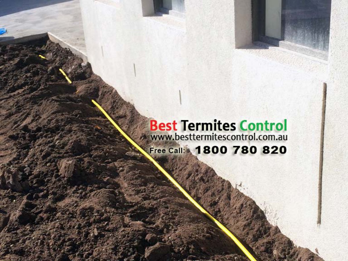 Reticulation system to the perimeter of a house in Office