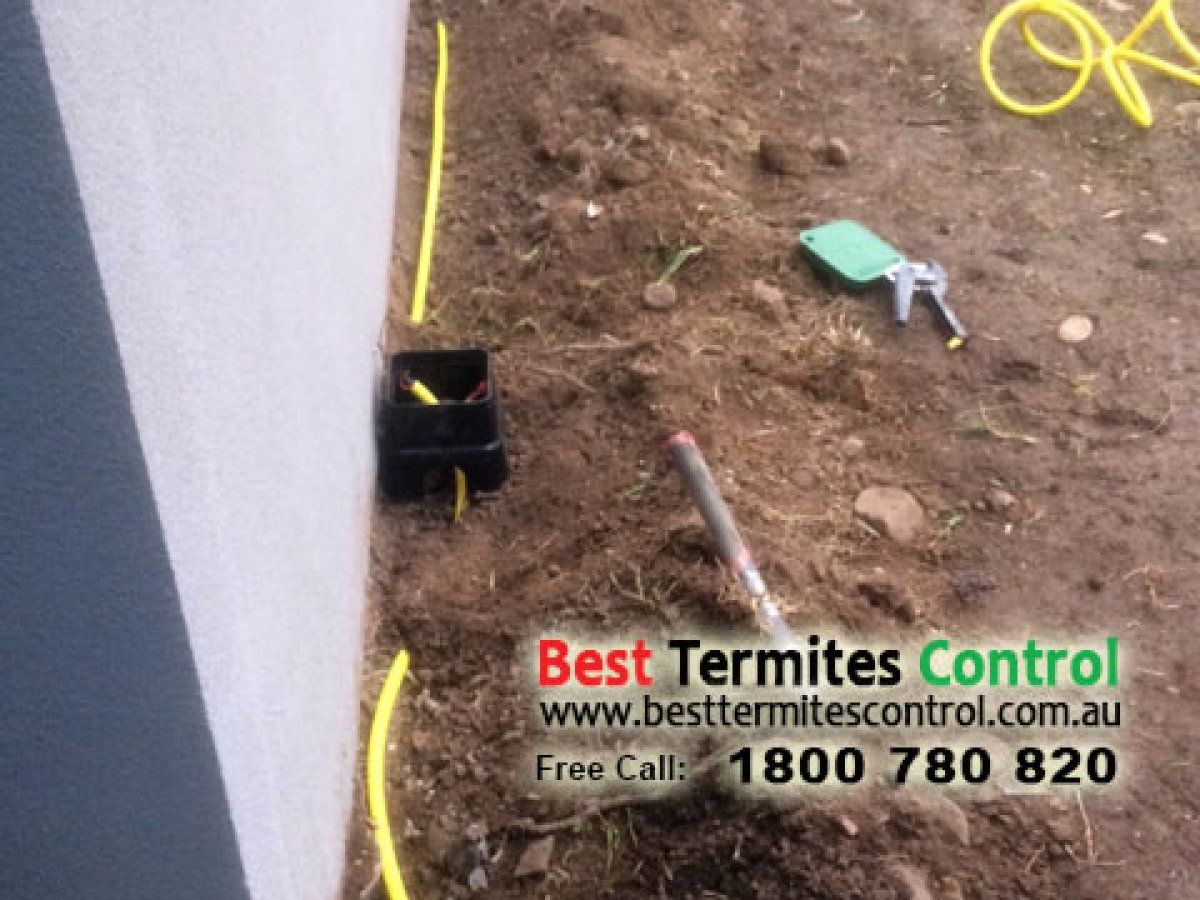 Termite Reticulation System - Chemical Barrier Pipes