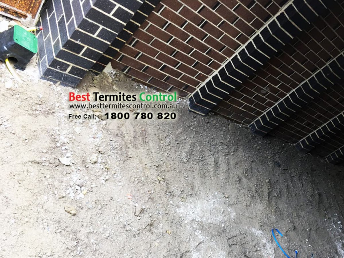 Reticulation Termite Control System Installed in Springvale