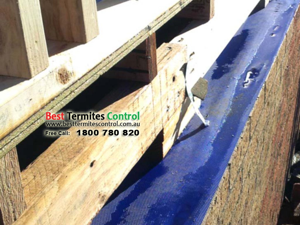 Termite Protection Home Structure Doncaster