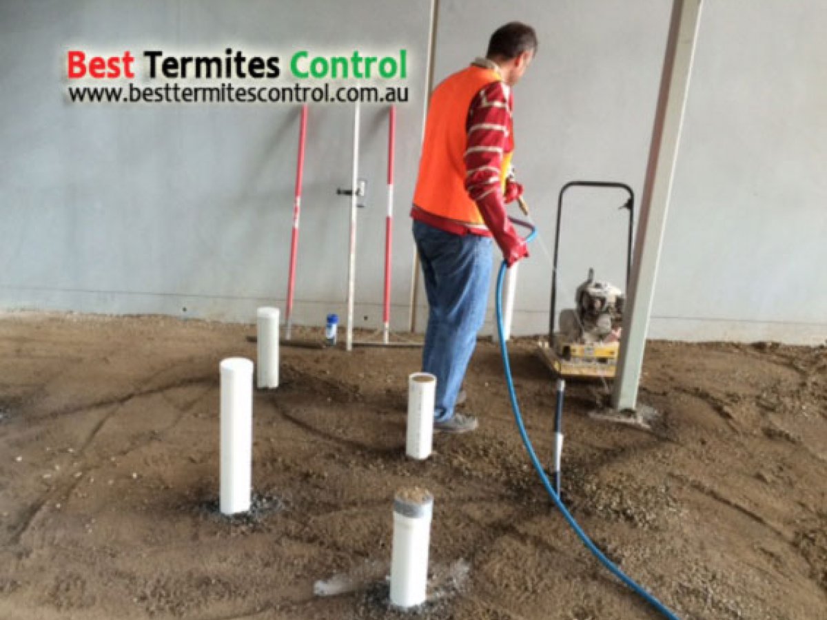 Commercial Termites Treatment for a warehouse in Melbourne