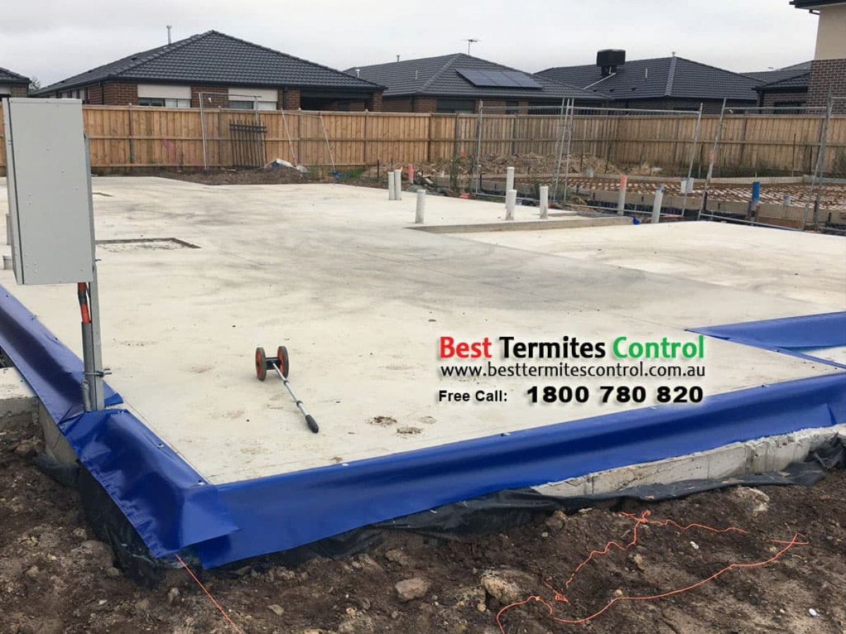 HomeGuard Blue Sheet To Slab Perimeter in Doncaster