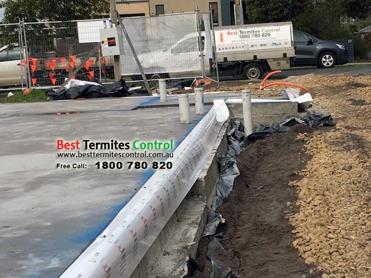 Green Zone Termiticide Treated Sheeting System to Slab Perimeter in Burwood -3