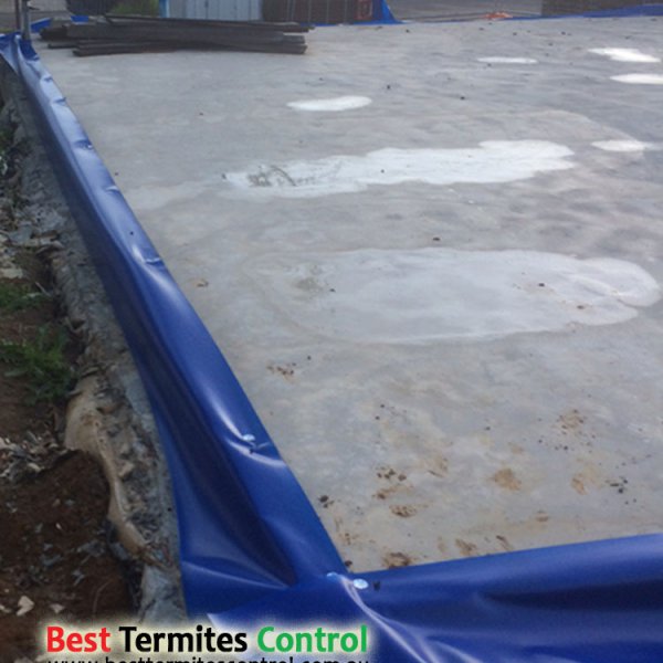 Ferntree Gully Homeguard Blue Sheet Termites Protection