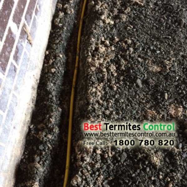 Installed Termites Reticulation system in Burwood
