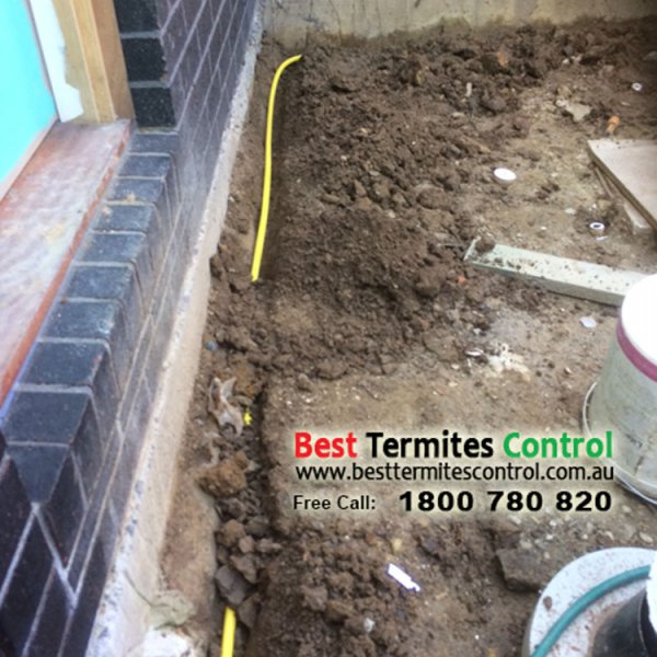 Termite Protection Solutions - Reticulation System