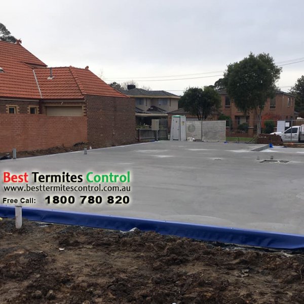 Termite Protection: Home Guard Blue Sheet to the slab perimeter