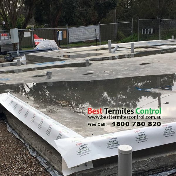 Green Zone Termiticide Treated Sheeting System to Slab Perimeter in Burwood -1